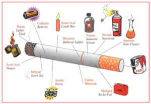 cigarette image and damaging effects to fertility and pregnancy chances